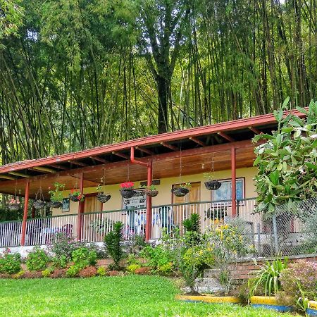 Finca Turistica Los Rosales 페레이라 외부 사진