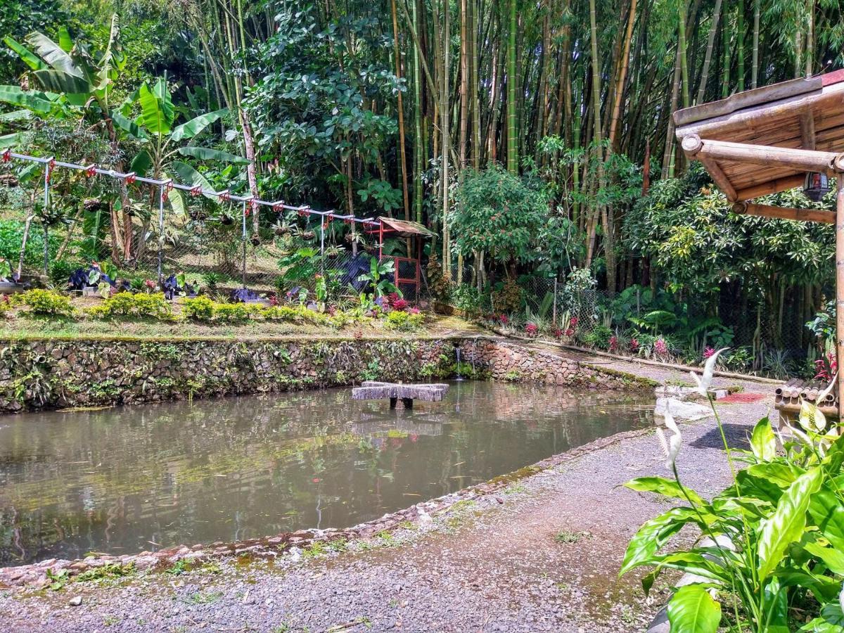 Finca Turistica Los Rosales 페레이라 외부 사진