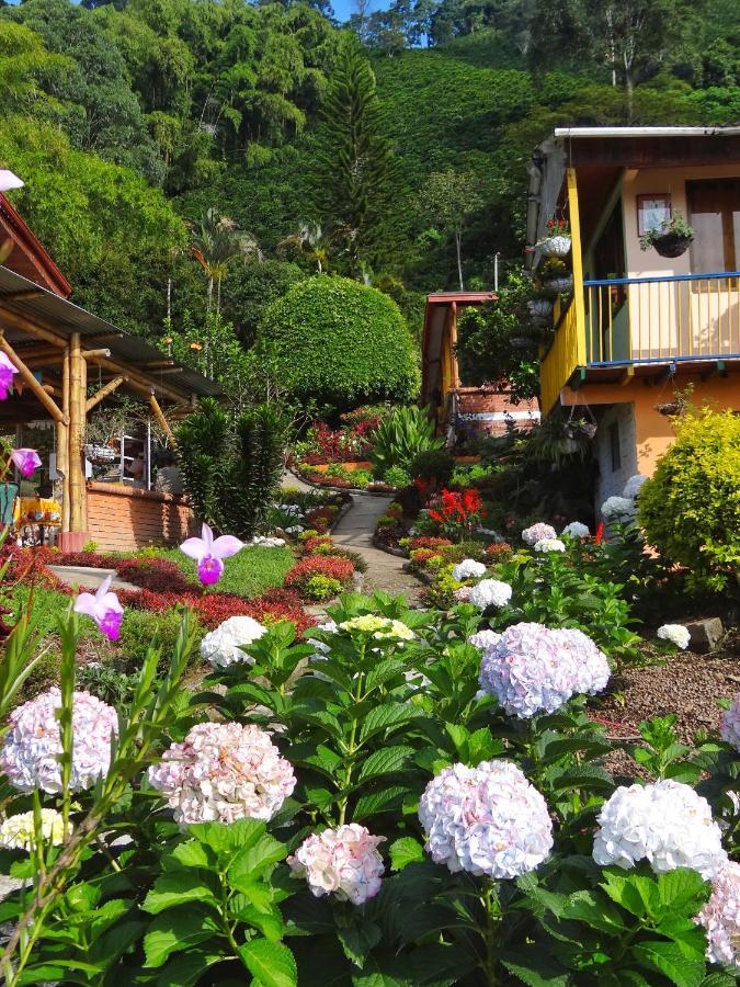Finca Turistica Los Rosales 페레이라 외부 사진