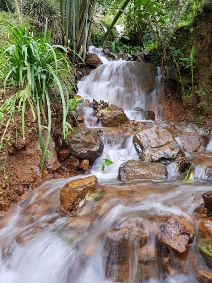 Finca Turistica Los Rosales 페레이라 외부 사진