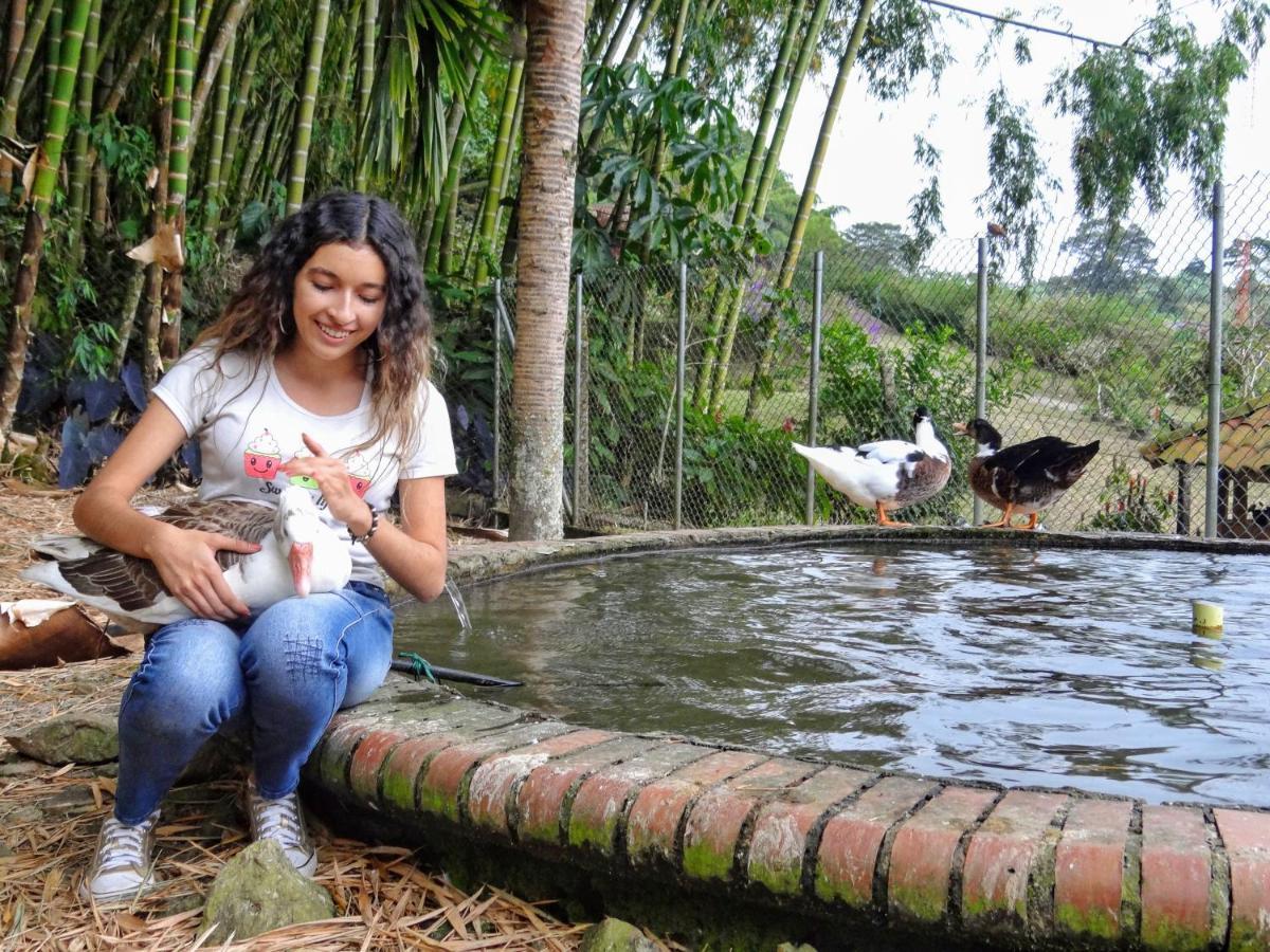 Finca Turistica Los Rosales 페레이라 외부 사진